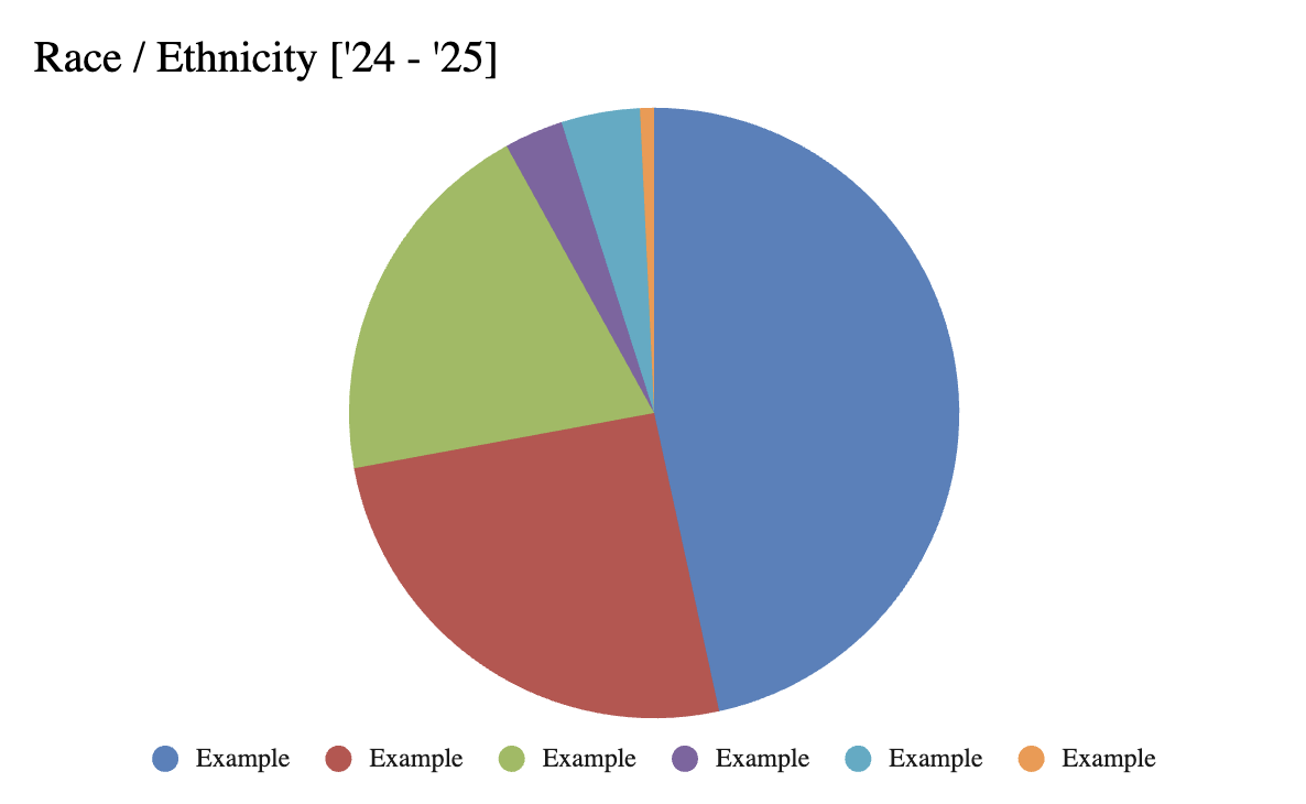 Example graph of race and ethnicity data